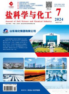 盐科学与化工